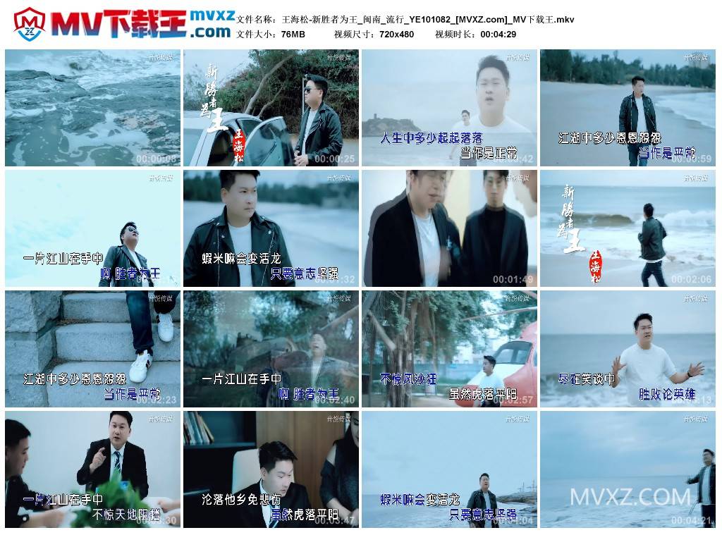 王海松-新胜者为王_闽南_流行_YE101082